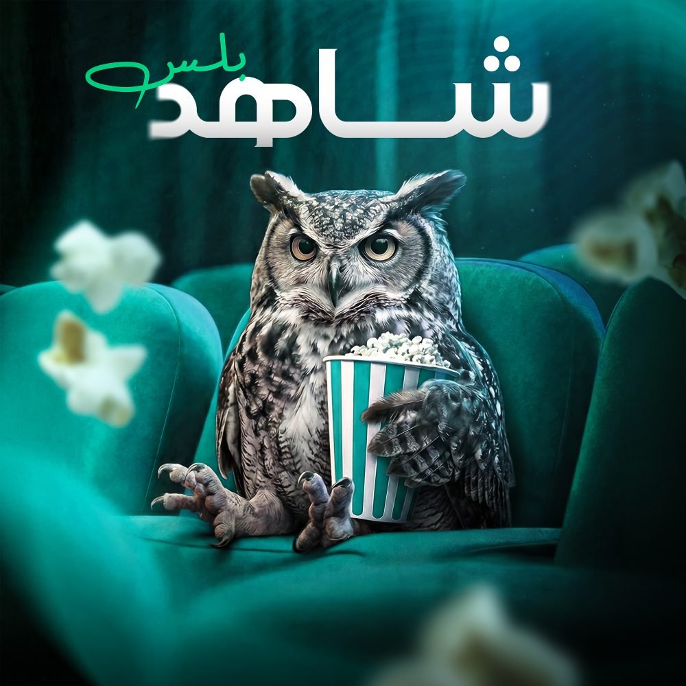 مكتبة ترفيهية عربية